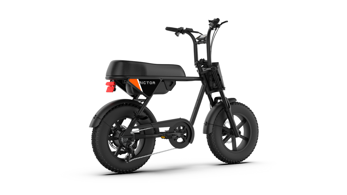 RICTOR POPGO MINI